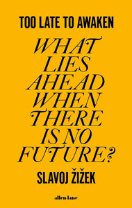 Too Late To Awaken: What Lies Ahead When There Is No Future? - Hardback