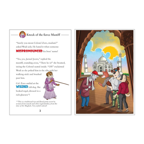 Detective Col. Zoro Book 6 : The Petha and the missing Brigadier - Paperback