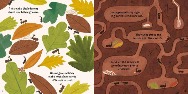 Bugs In The Mud - Paperback
