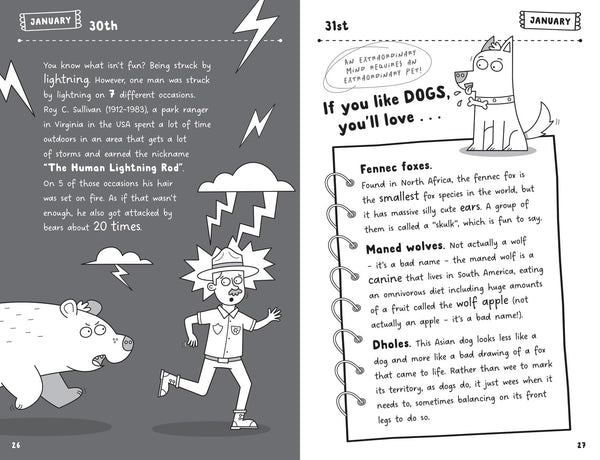 Become a Genius in a Year - Paperback