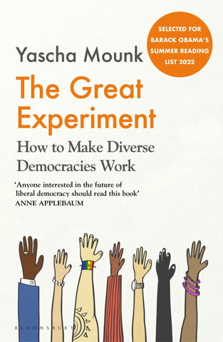 The Great Experiment: How To Make Diverse Democracies Work - Paperback