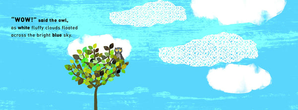 Wow! Said The Owl - Board Book