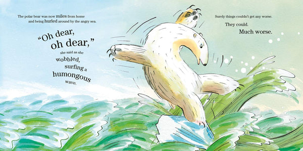 Boogie Bear - Paperback