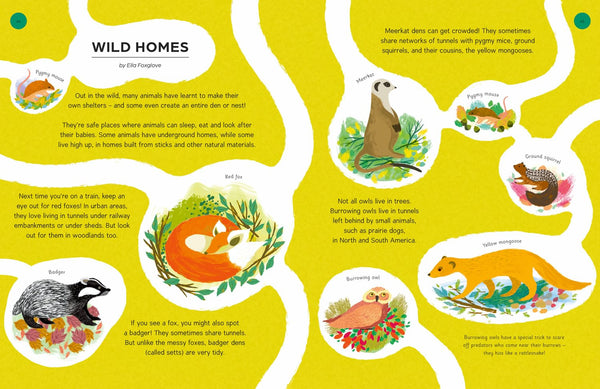 Spin a Story - Hardback