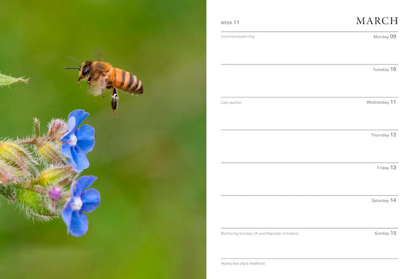 Rhs Wild in the Garden Diary 2026