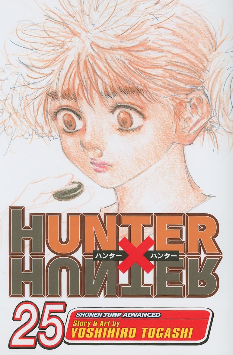 Hunter X Hunter #25 - Paperback