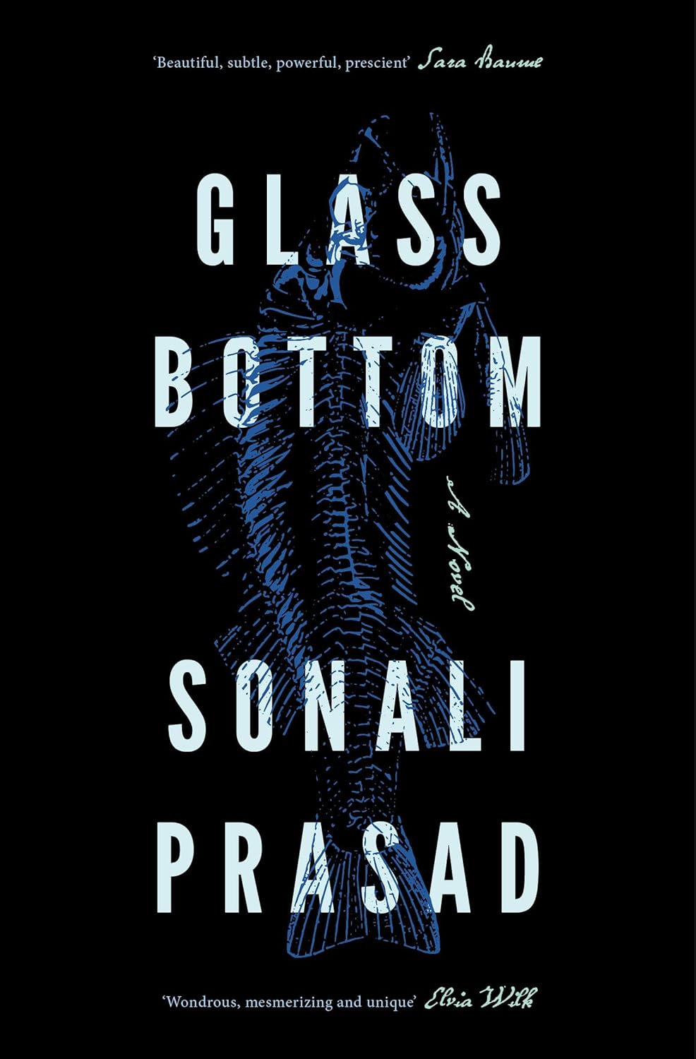 Glass Bottom - Hardback