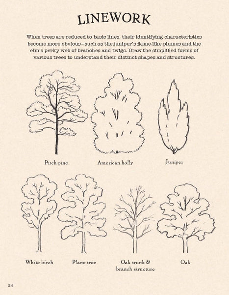 Nature Drawing - Trees : Paperback