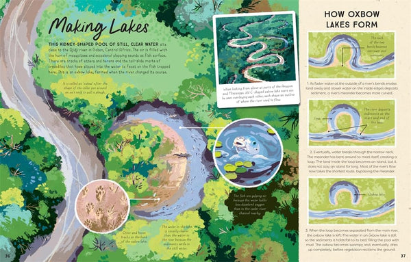 Rivers: An incredible journey from source to sea - Hardback