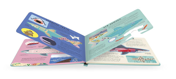 The Shark Book - Board book