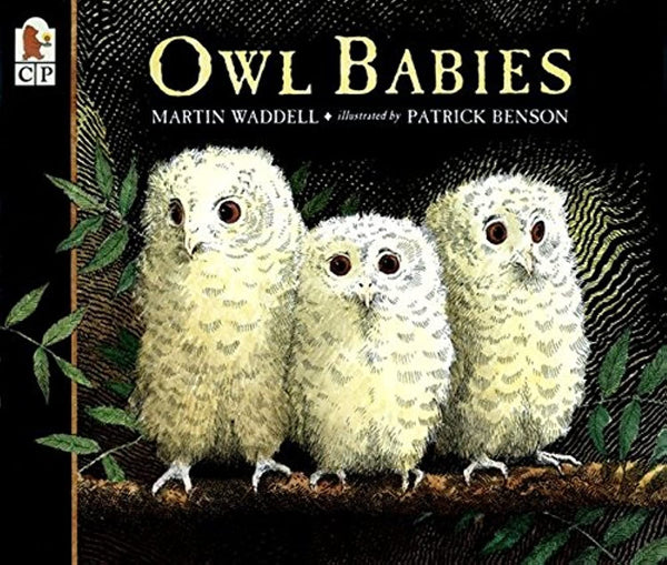 Owl Babies - Paperback