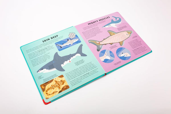 The Shark Book - Board book