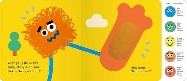 The Feelings Book - Board Book