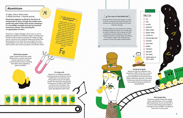 The Element in the Room - Paperback