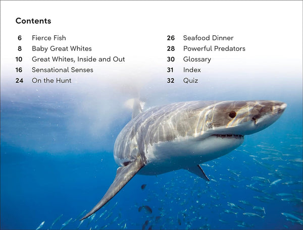 DK Super Readers Level 2 Great White Sharks - Paperback