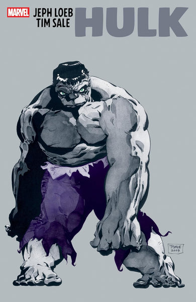 JEPH LOEB & TIM SALE : HULK : Gray - Paperback