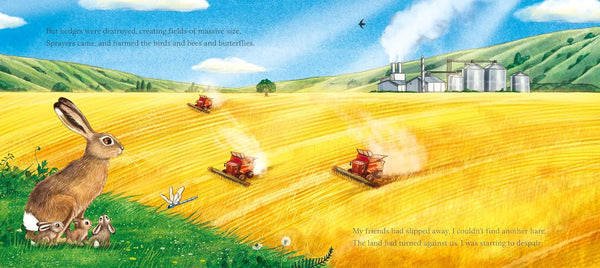 I am Hattie the Hare - Paperback