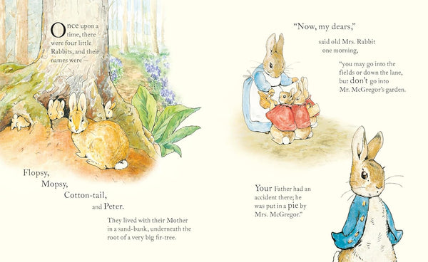 Peter Rabbit : Book and Toy Gift Set - Hardback