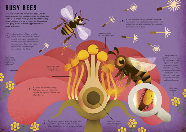 Wild Your World : Bees - Hardback