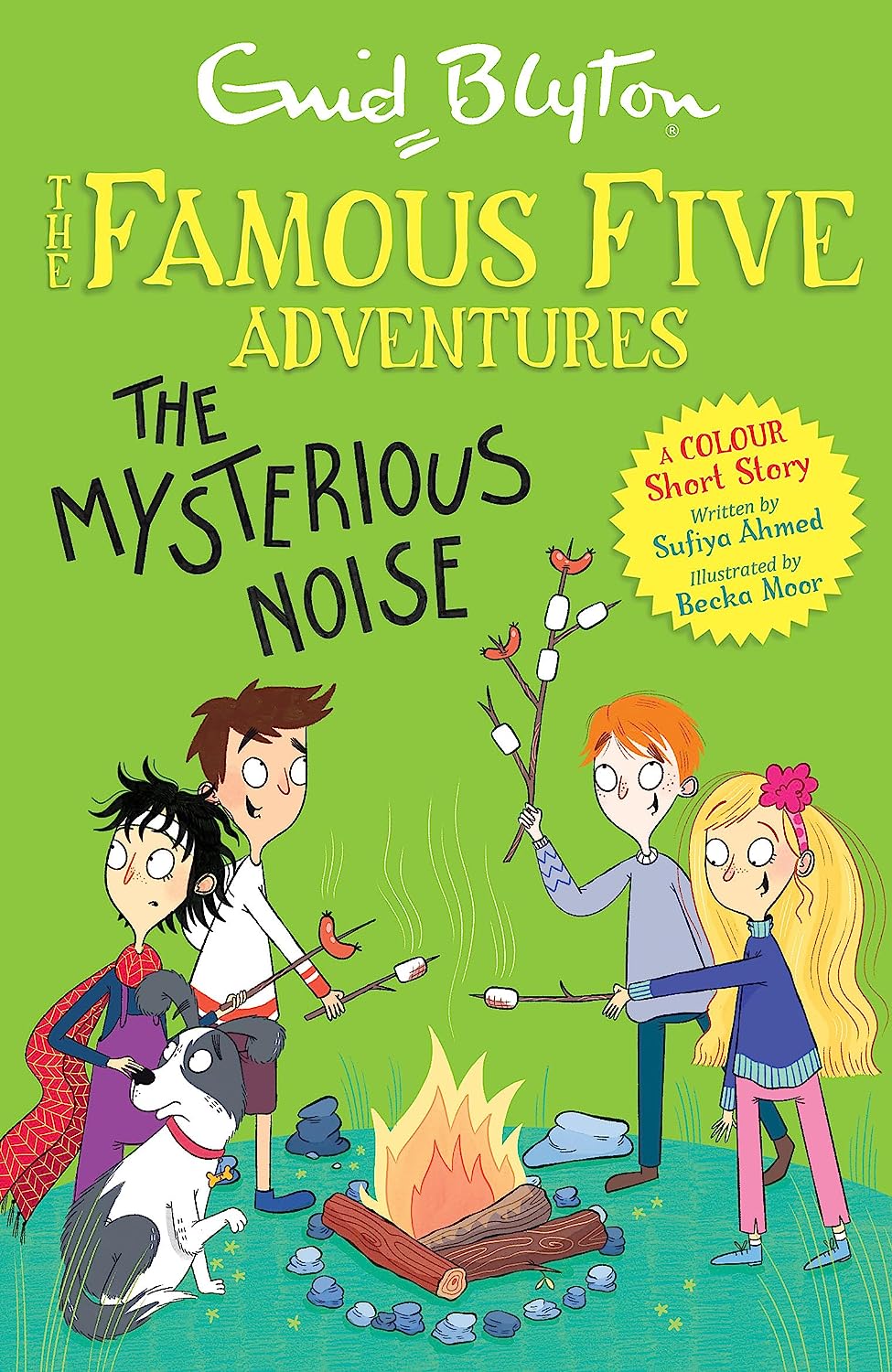 Famous Five Colour Short Stories: The Mysterious Noise - Paperback