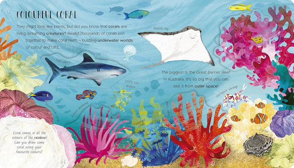 One Little Fish - Board book