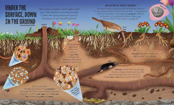 My Nature Collection : Under the Ground - Paperback