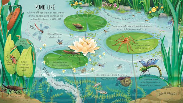 Look Inside Bug World - Board book