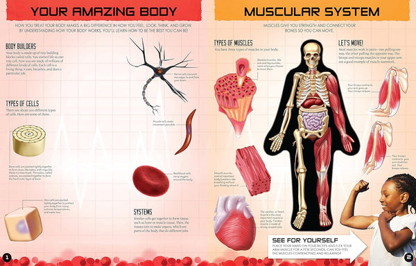 Inside Out Human Body : Volume 1 - Hardback