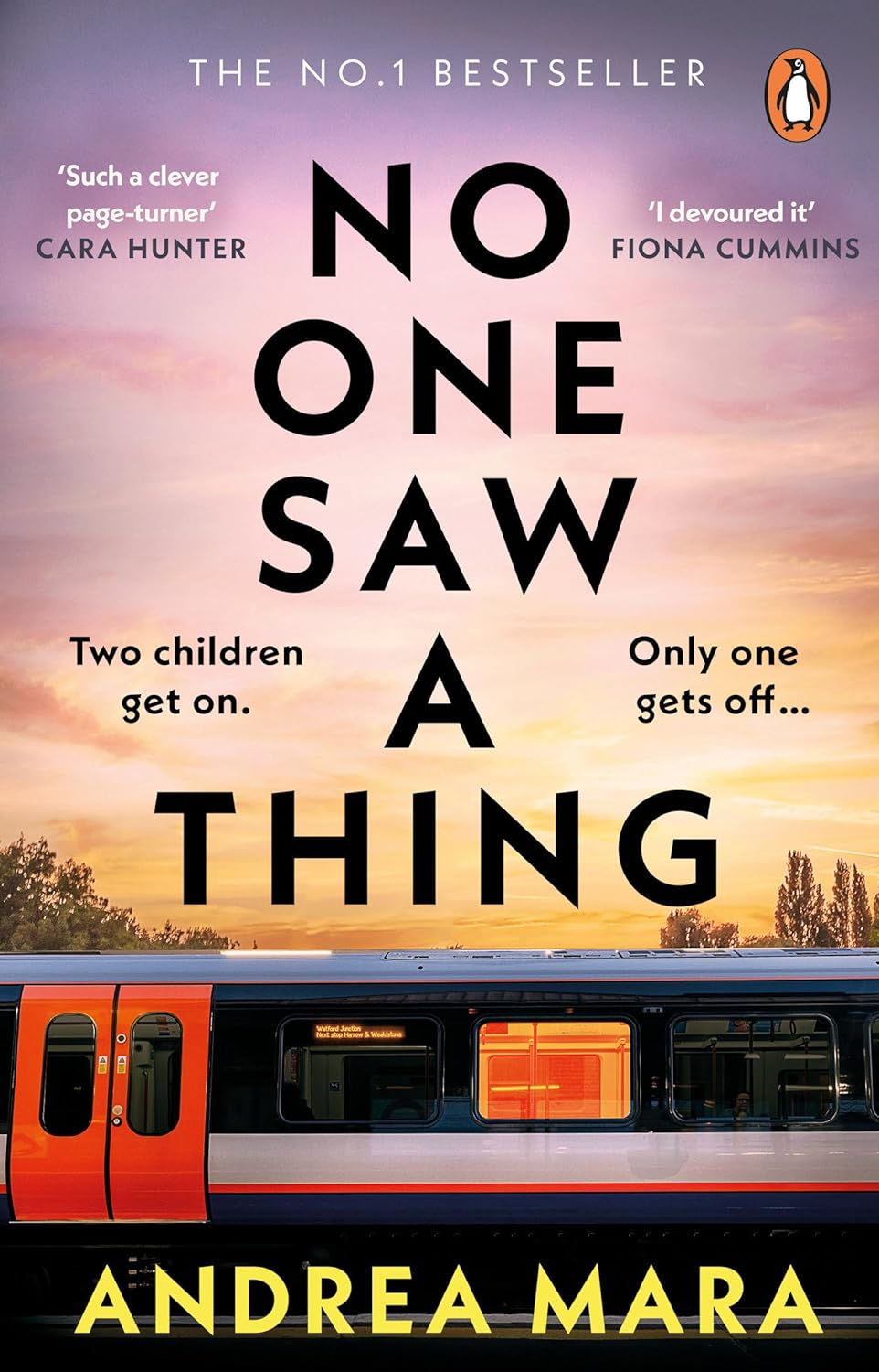 No One Saw A Thing - Paperback