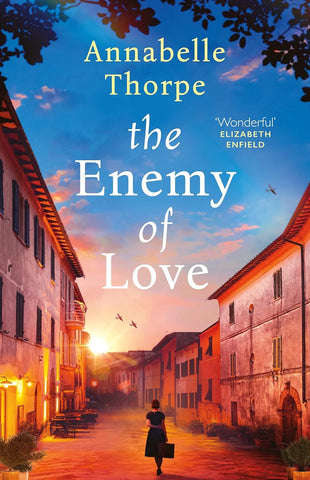 The Enemy Of Love - Paperback