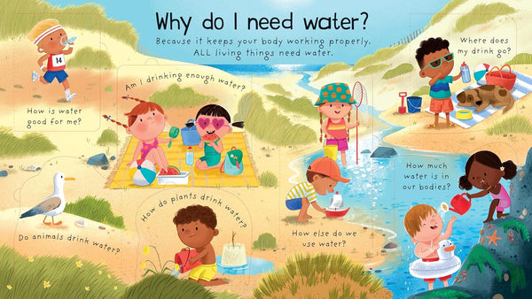 Lift-The-Flap First Questions And Answers : Where Does Water Come From? - Board Book