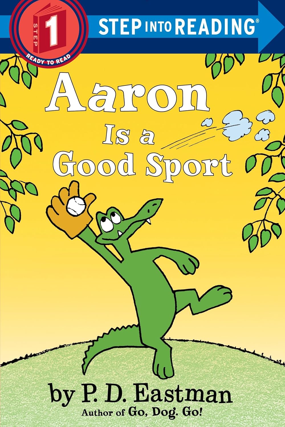Aaron is a Good Sport - Paperback