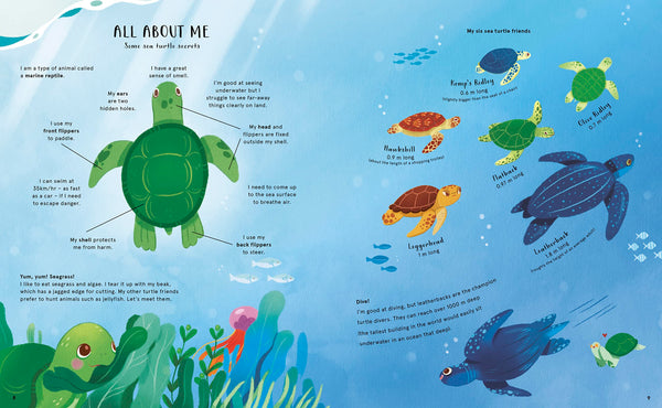 The Secret Life Of Oceans - Hardback