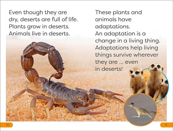 DK Super Readers Level 1 Desert Plants and Animals - Paperback