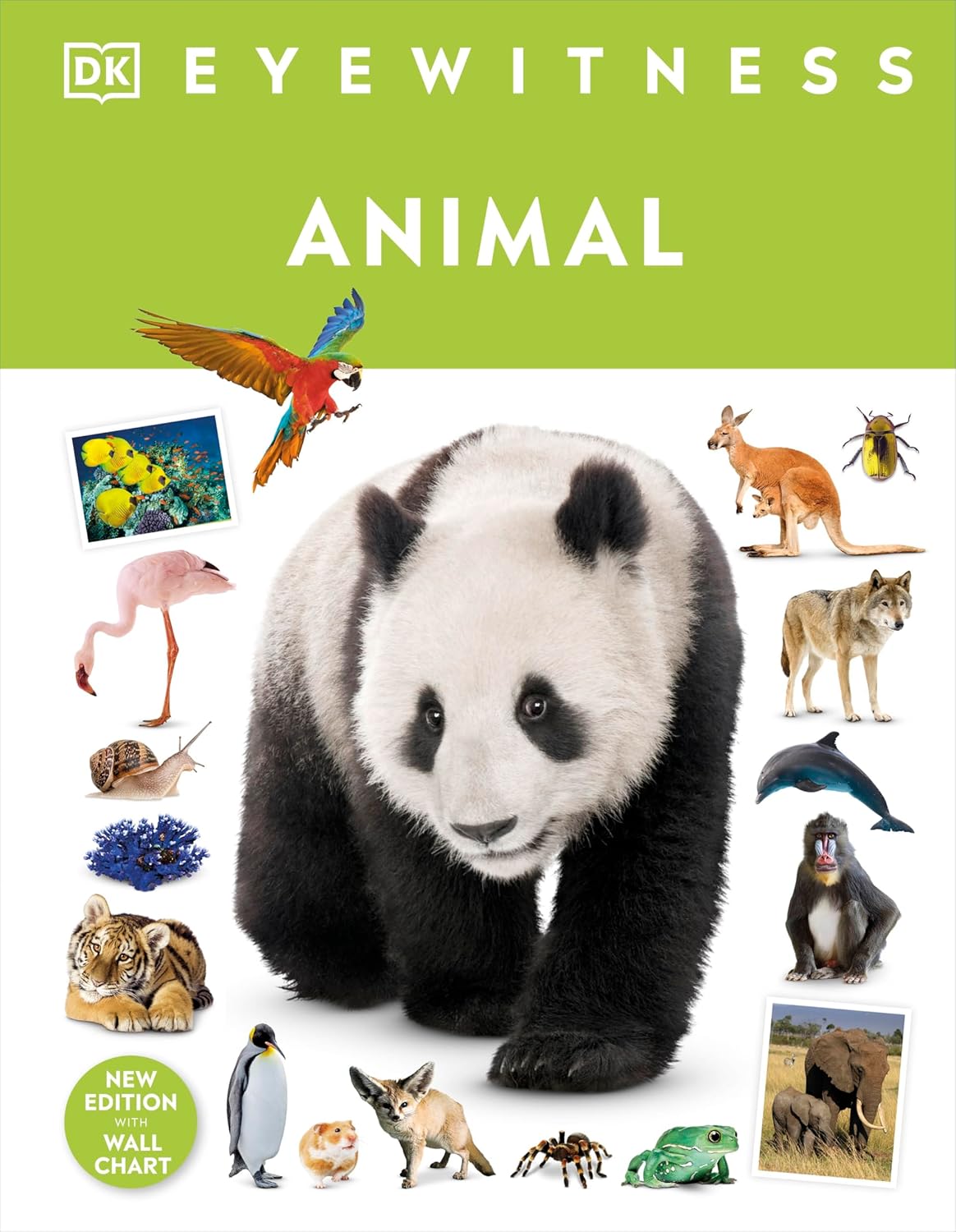 Animal - Hardback