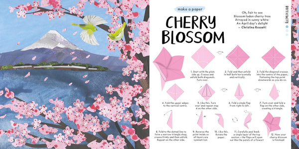 National Trust : Blossom Origami - Paperback