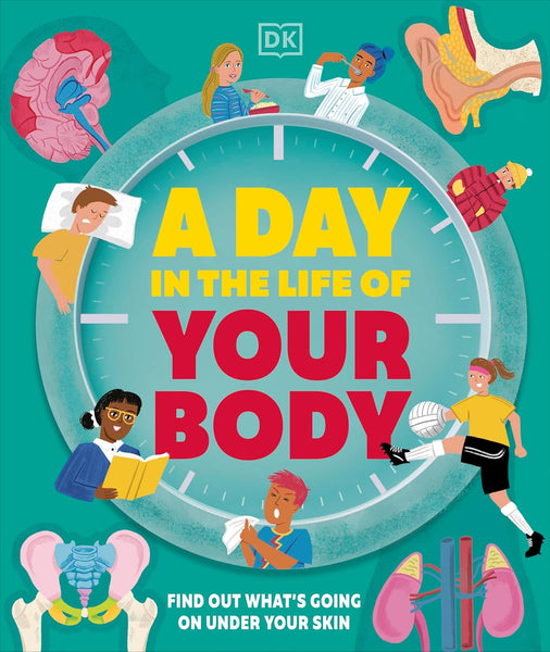 A Day in the Life of Your Body : Find Out What's Going on Under Your Skin - Hardback