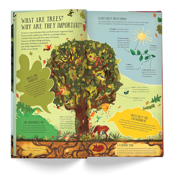 Make and Play : Build A Tree - Hardback