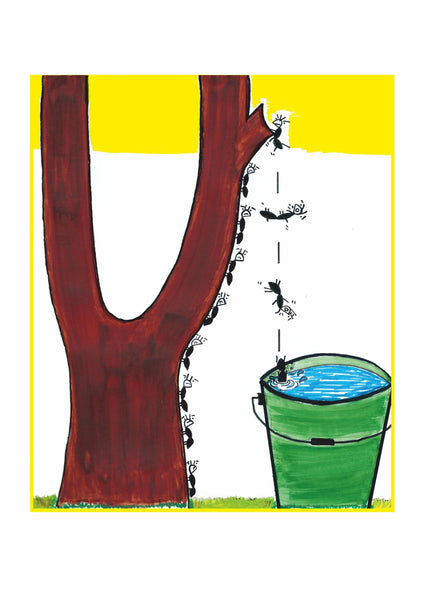 The Mango, Ant & the Bucket of Water - Paperback