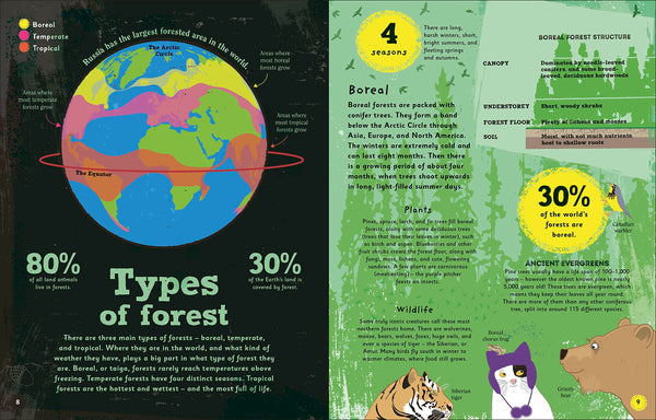 The Magic of Forests: A Fascinating Guide to Forests Around the World - Hardback