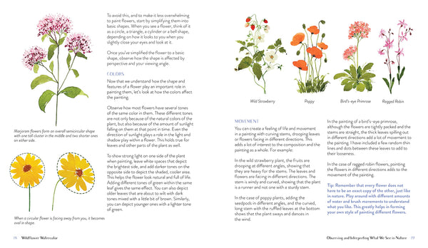 Wildflower Watercolor: The Beginner’s Guide to Painting Beautiful Florals - Paperback