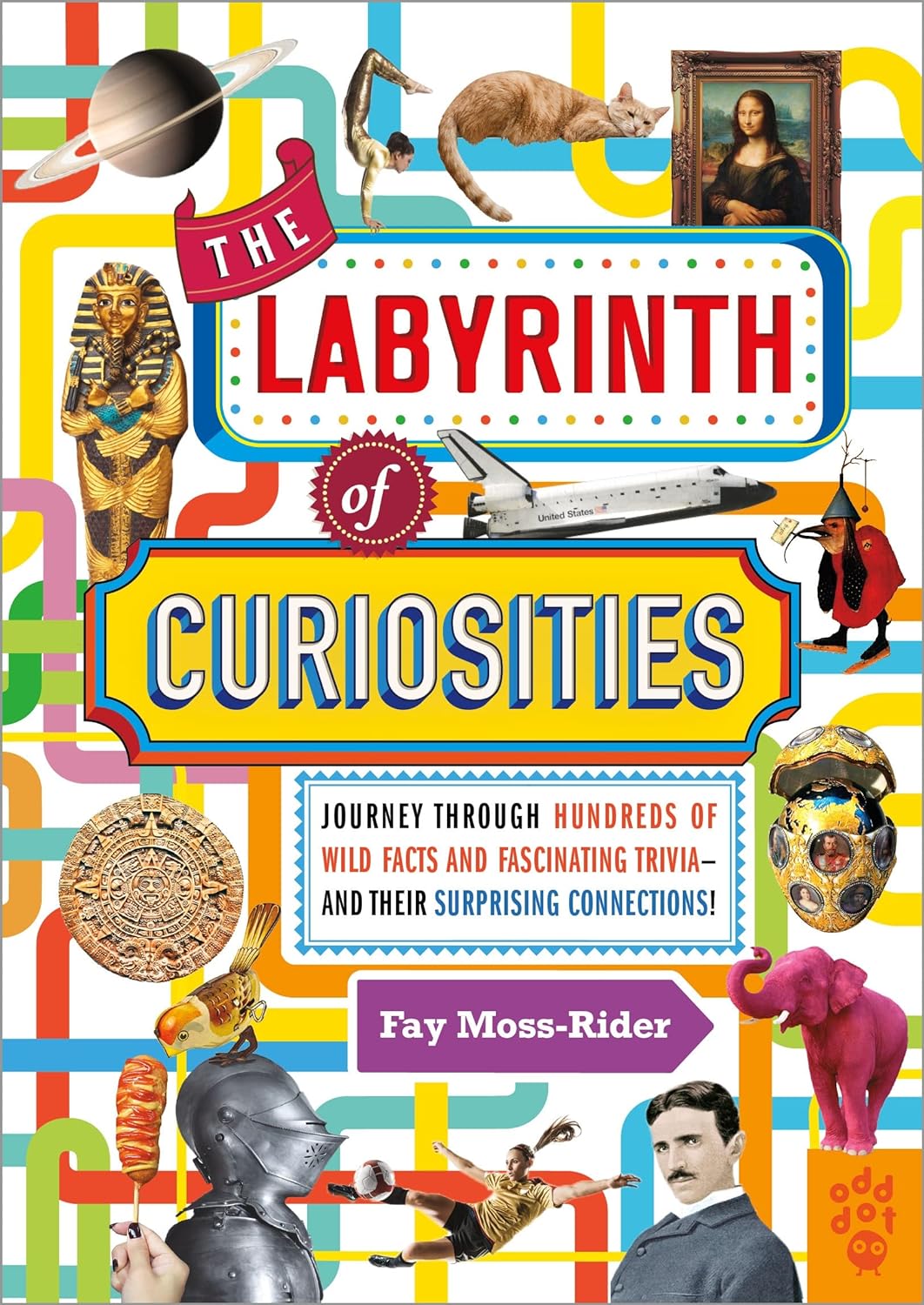 The Labyrinth Of Curiosities - Hardback