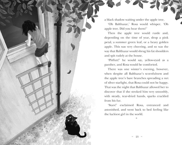 Rosa By Starlight - Paperback