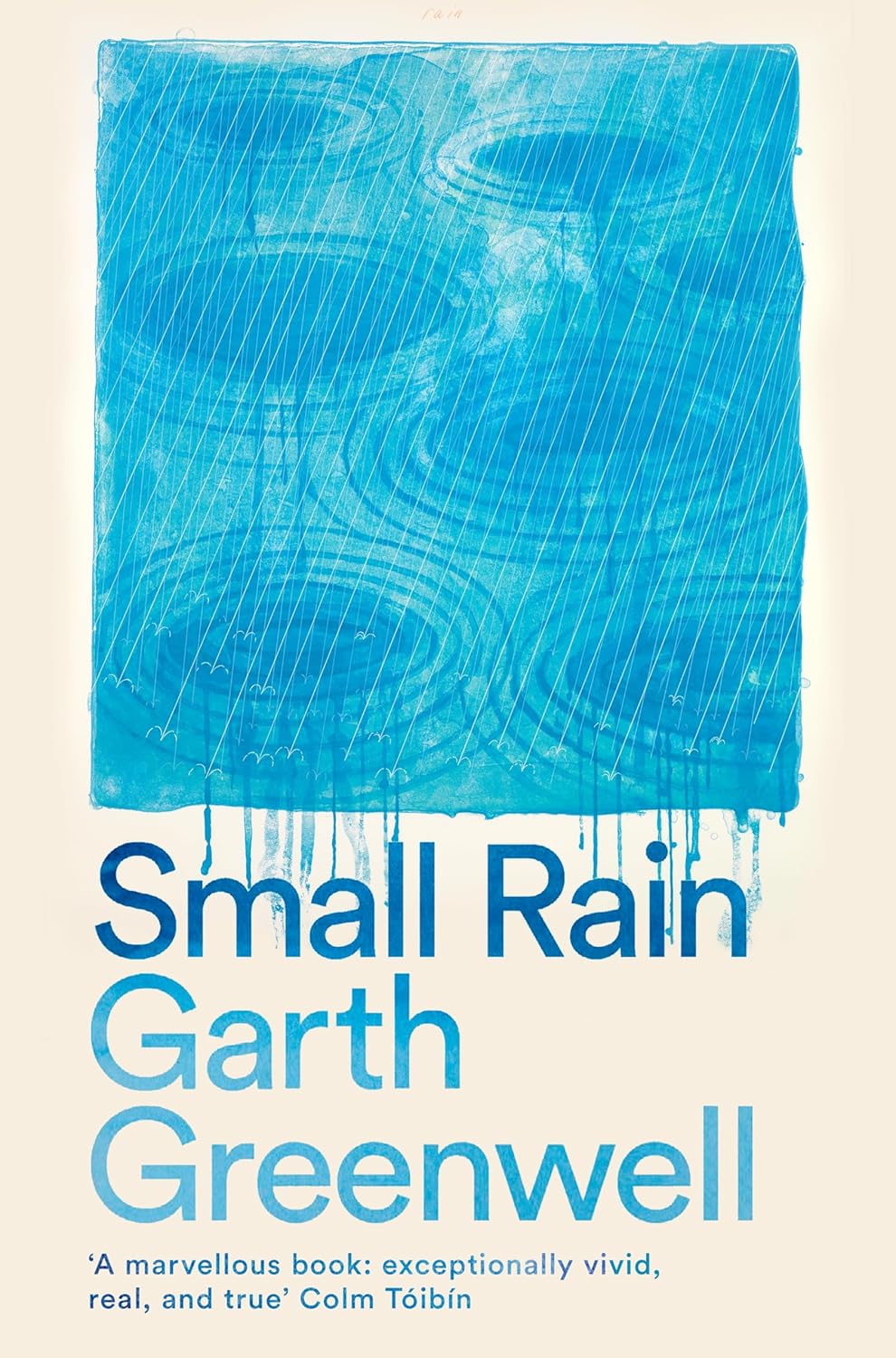 Small Rain - Paperback