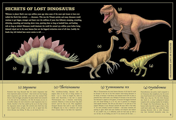 Secret Stories of Lost Beasts - Hardback