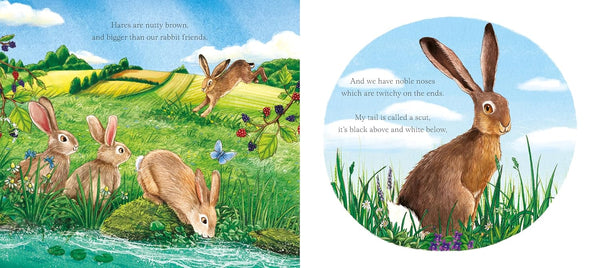 I am Hattie the Hare - Paperback