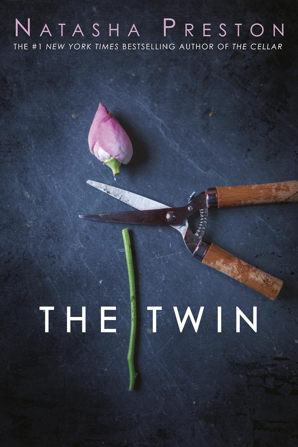 The Twin - Paperback