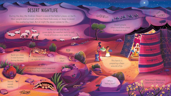 Look Inside Night Time - Board book