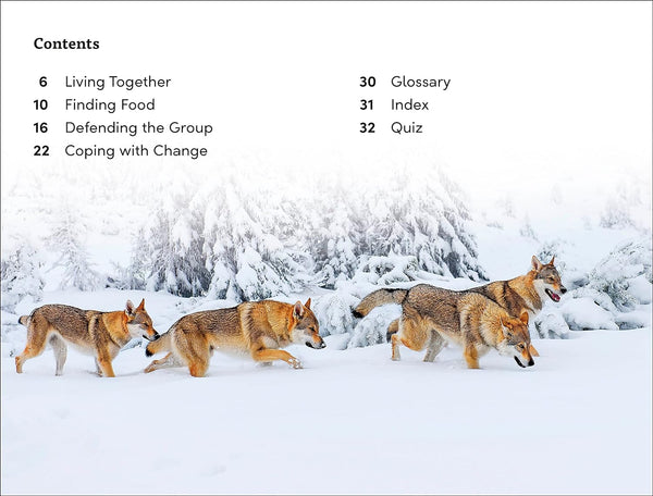 DK Super Readers Level 3 Wild Animal Groups - Paperback