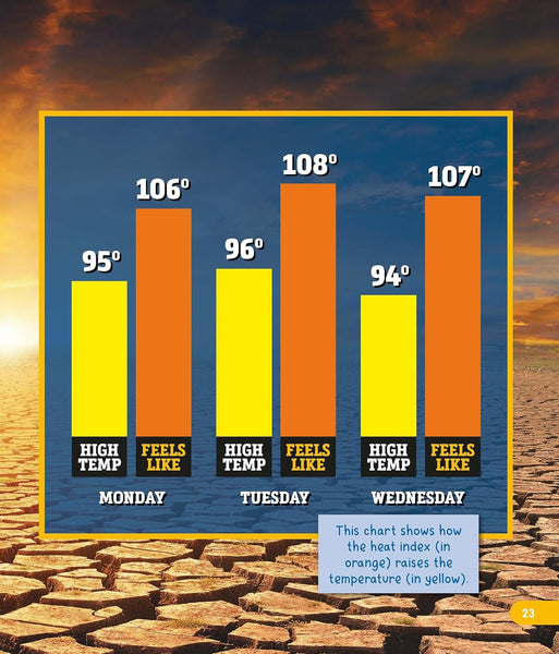 Heat Waves - Paperback